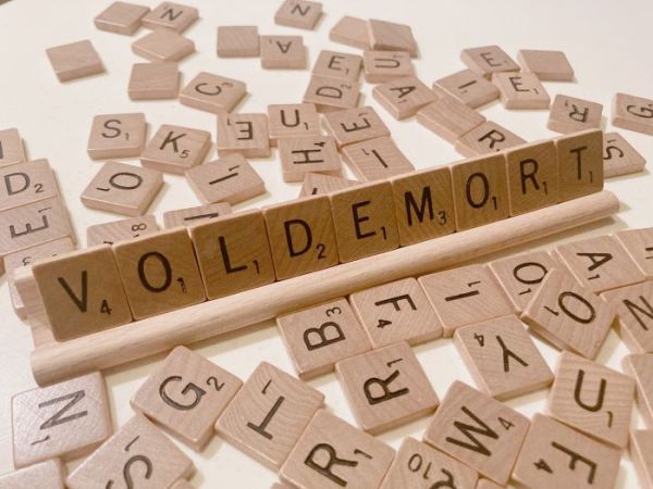 「ヴォルデモートゲーム」って何？ハリーポッターの原書を読んでます（高３）